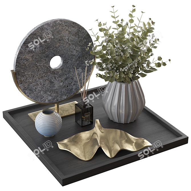 Sculpted Decorative Bi-discs 3D model image 4