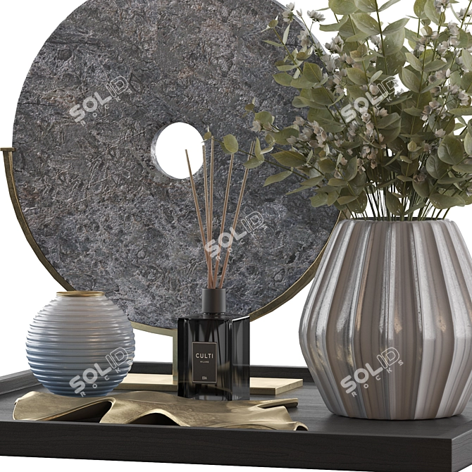 Sculpted Decorative Bi-discs 3D model image 5