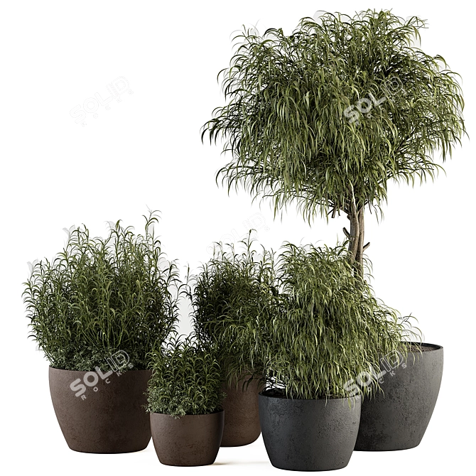 Rustic Concrete Pot Plant Set 3D model image 1