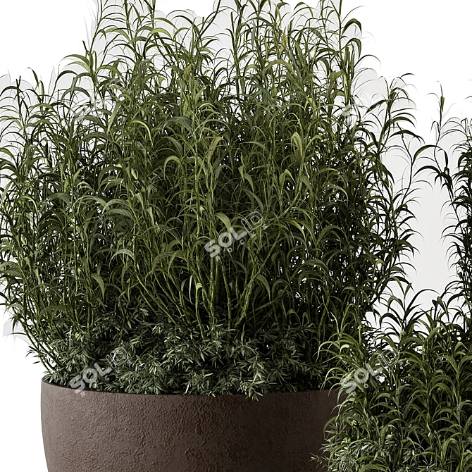 Rustic Concrete Pot Plant Set 3D model image 3