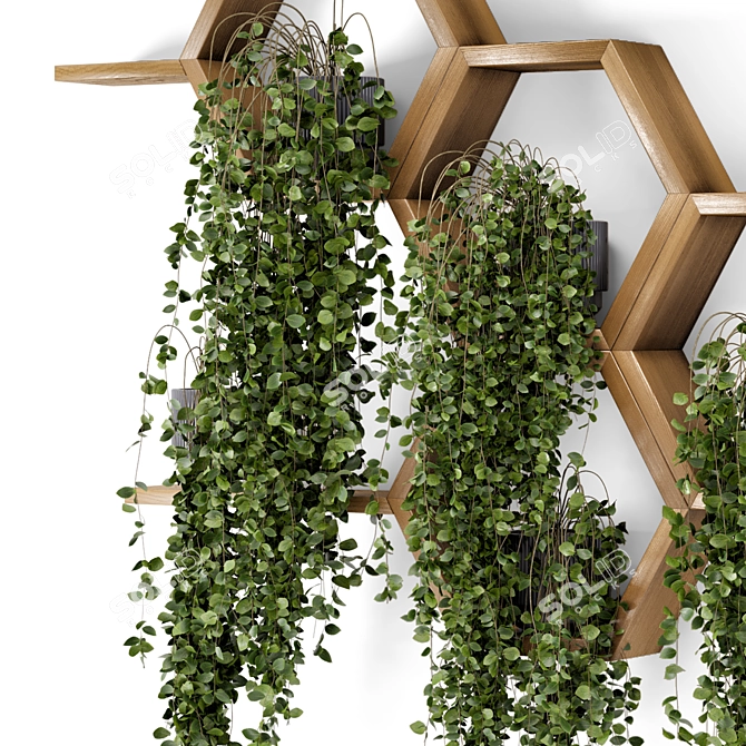 Concrete Pot Hanging Plants Set 3D model image 3