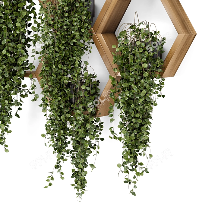 Concrete Pot Hanging Plants Set 3D model image 4