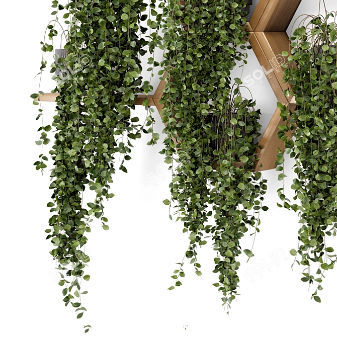 Concrete Pot Hanging Plants Set 3D model image 5