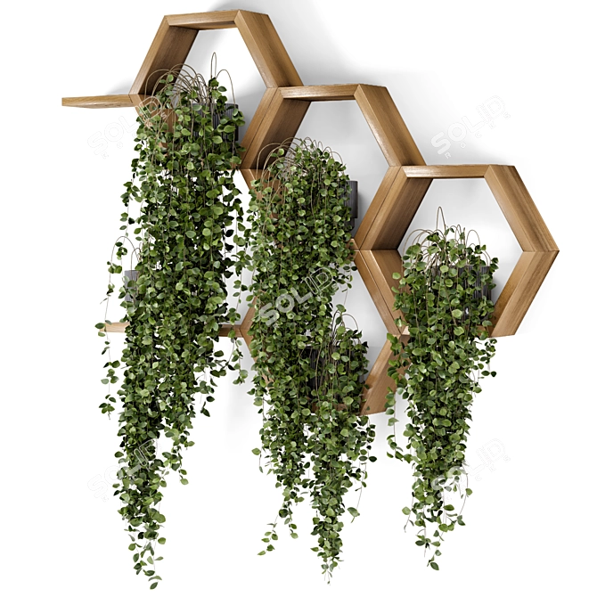 Concrete Pot Hanging Plants Set 3D model image 6