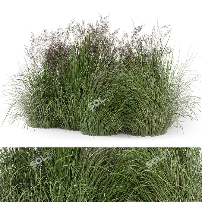 Outdoor Plants Set - Bush-Bush 566 3D model image 1