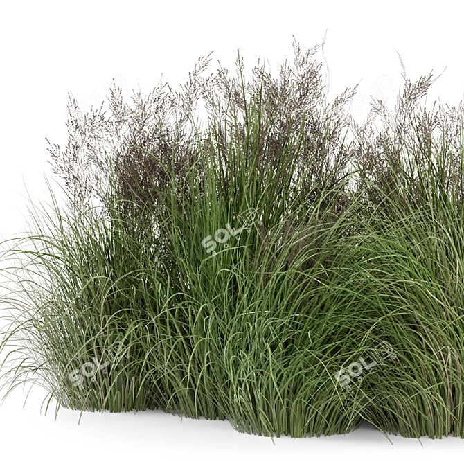 Outdoor Plants Set - Bush-Bush 566 3D model image 2