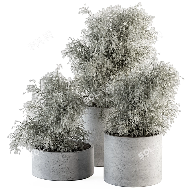 372 Indoor Plant Set: Bush & Plant in Pot 3D model image 1