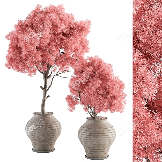 Pretty in Pink Outdoor Plant Set 3D model image 1