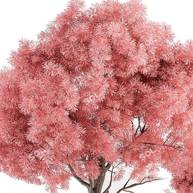 Pretty in Pink Outdoor Plant Set 3D model image 2