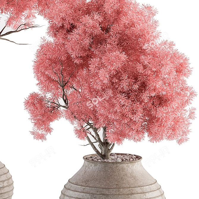 Pretty in Pink Outdoor Plant Set 3D model image 3