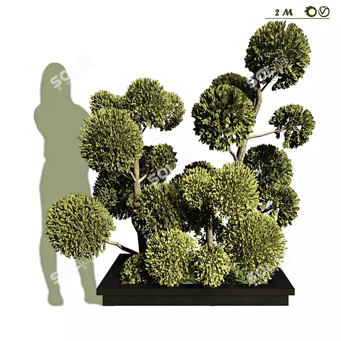Polygonal Tree Outdoor Topiary 3D model image 1