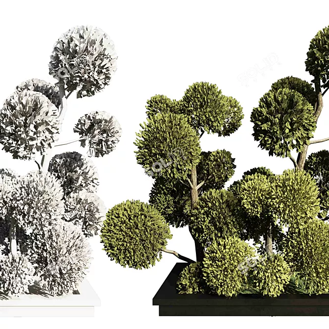 Polygonal Tree Outdoor Topiary 3D model image 3