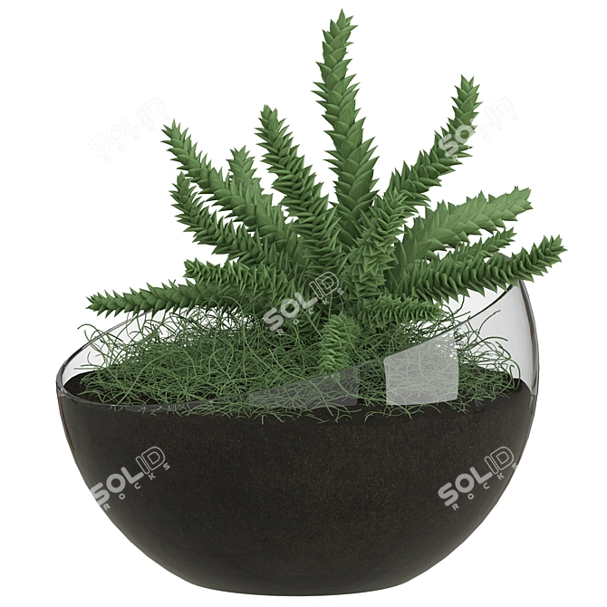 Spherical Glass Pot with Plant 3D model image 1