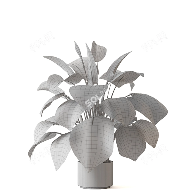 Tropical Oasis - Indoor Plants Collection 3D model image 5