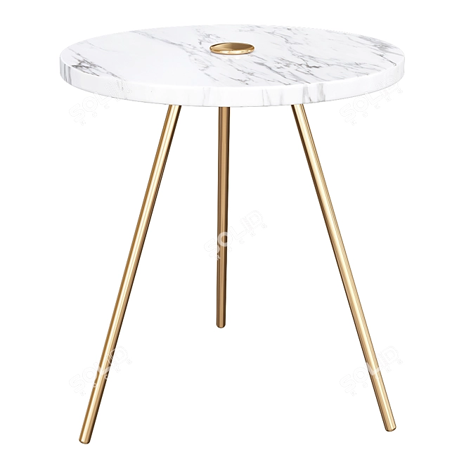 Zara Home Coffee Table 3D model image 1