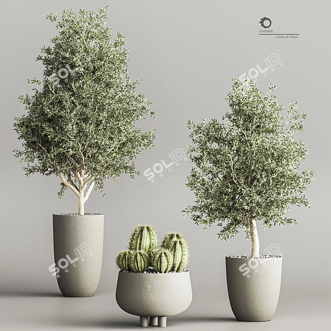 Cactus & Plant 04: Stylish Succulent Decor 3D model image 3