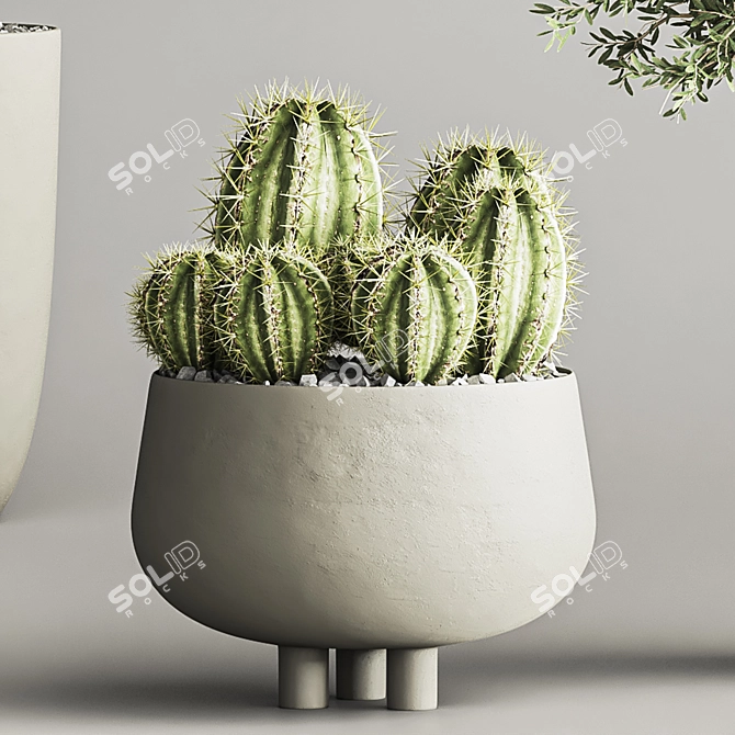 Cactus & Plant 04: Stylish Succulent Decor 3D model image 4