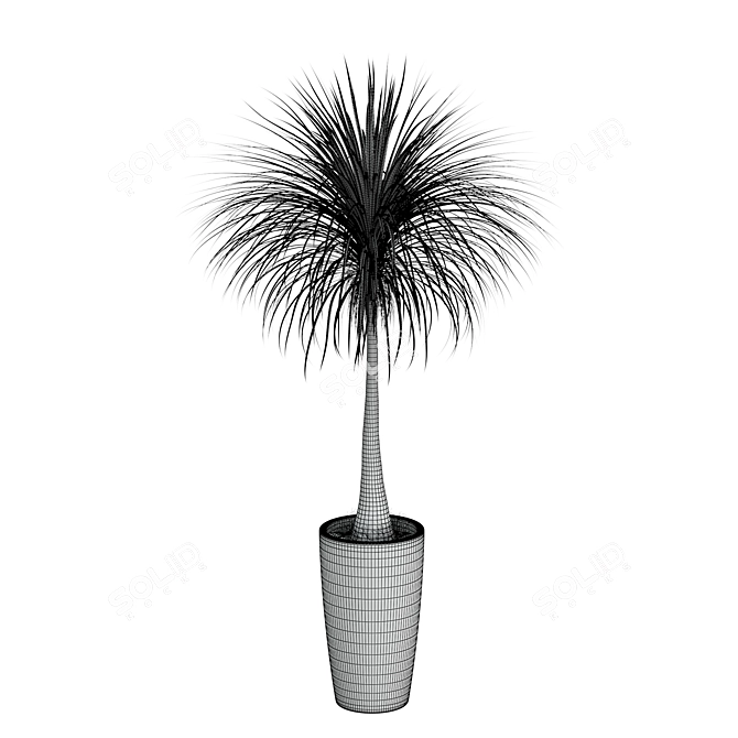 Tropical Palm Tree in Round Pot 3D model image 2