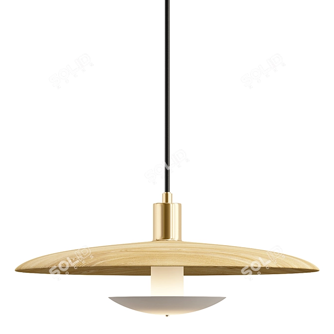 Elegant Reason Design Lamps 3D model image 1