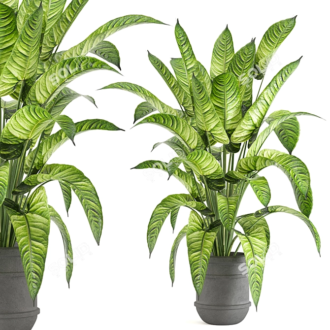 Lush Greens Indoor Plant Collection 3D model image 1