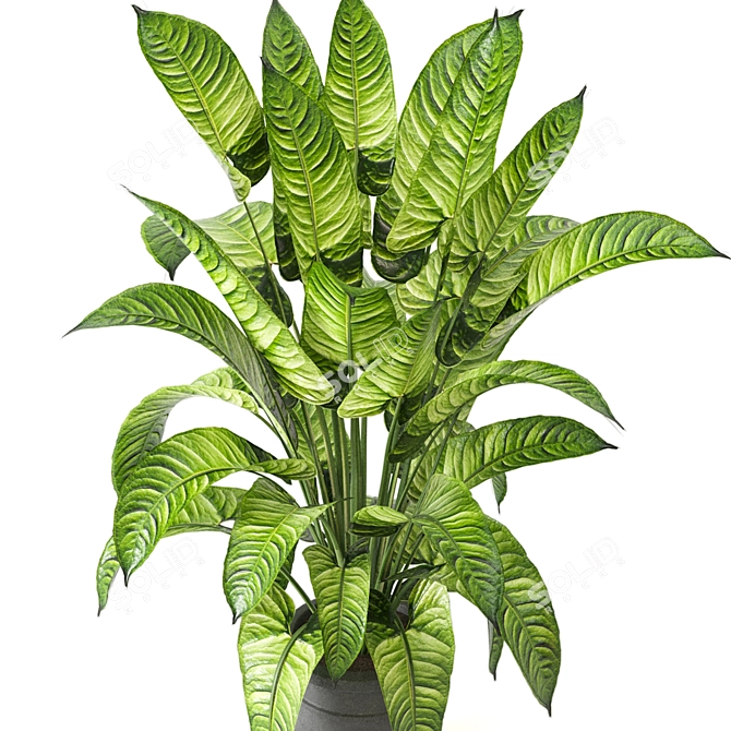 Lush Greens Indoor Plant Collection 3D model image 4