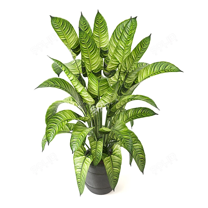 Lush Greens Indoor Plant Collection 3D model image 5