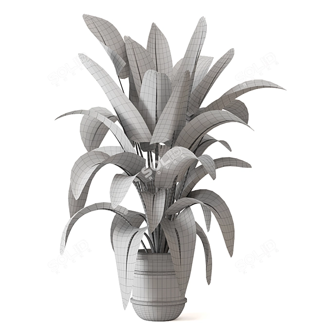 Lush Greens Indoor Plant Collection 3D model image 6