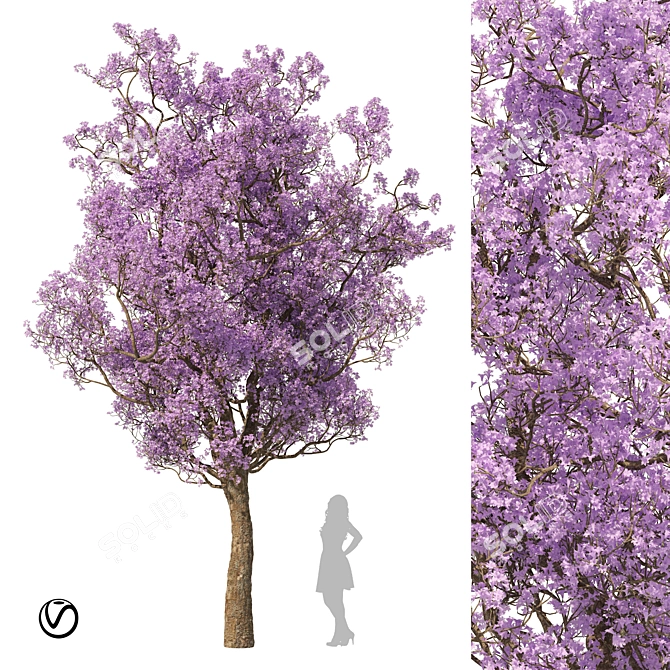 Vibrant Spring Blossom: 3D Purple Tree 3D model image 1