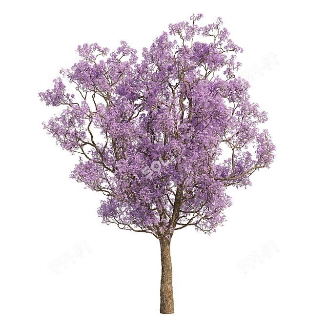 Vibrant Spring Blossom: 3D Purple Tree 3D model image 5
