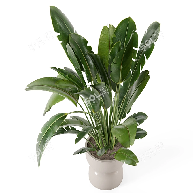 Rustic Concrete Pot Indoor Plants 3D model image 2