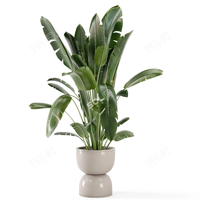 Rustic Concrete Pot Indoor Plants 3D model image 6