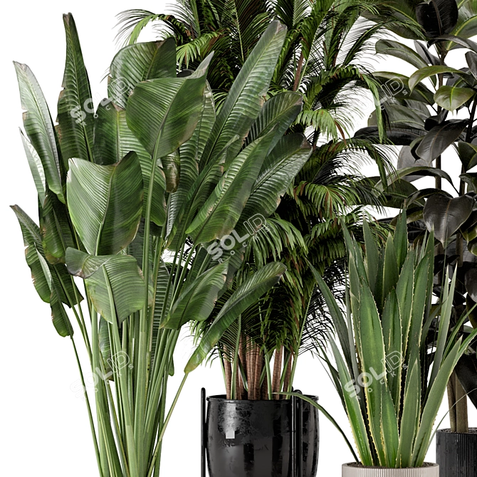 Ferm Living Indoor Plant Set 3D model image 2