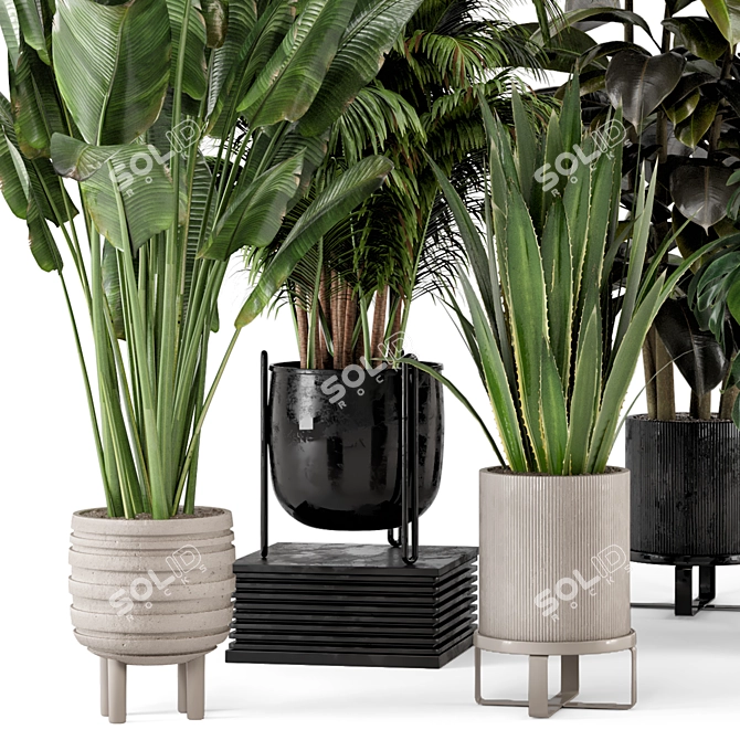 Ferm Living Indoor Plant Set 3D model image 5