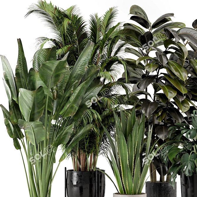 Ferm Living Indoor Plant Set 3D model image 6