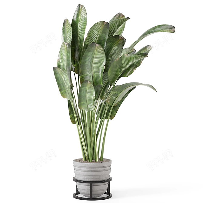 Rusty Concrete Pot Indoor Plants - Set 573 3D model image 5