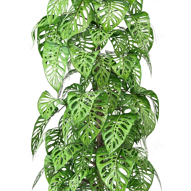 Indoor Plant Collection: Set 279 3D model image 3
