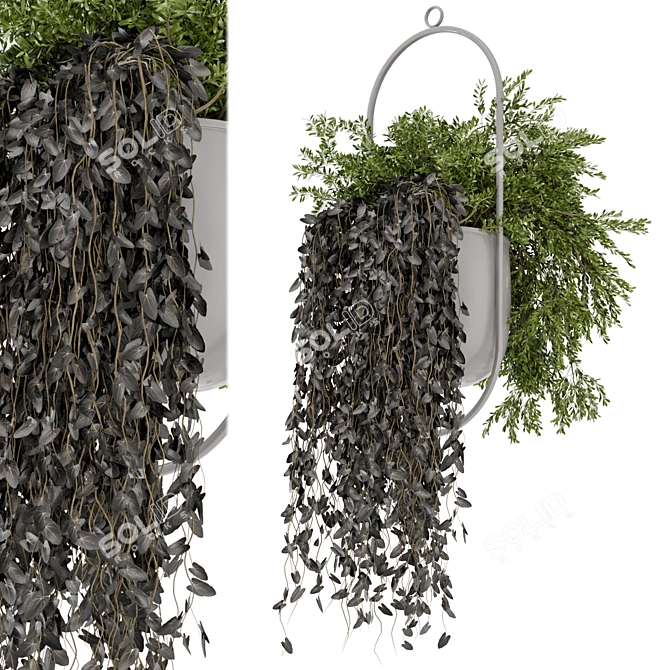 Metal Vase Hanging Plants Set 3D model image 1