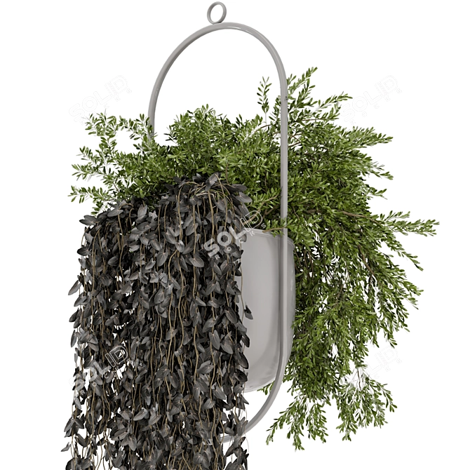 Metal Vase Hanging Plants Set 3D model image 2