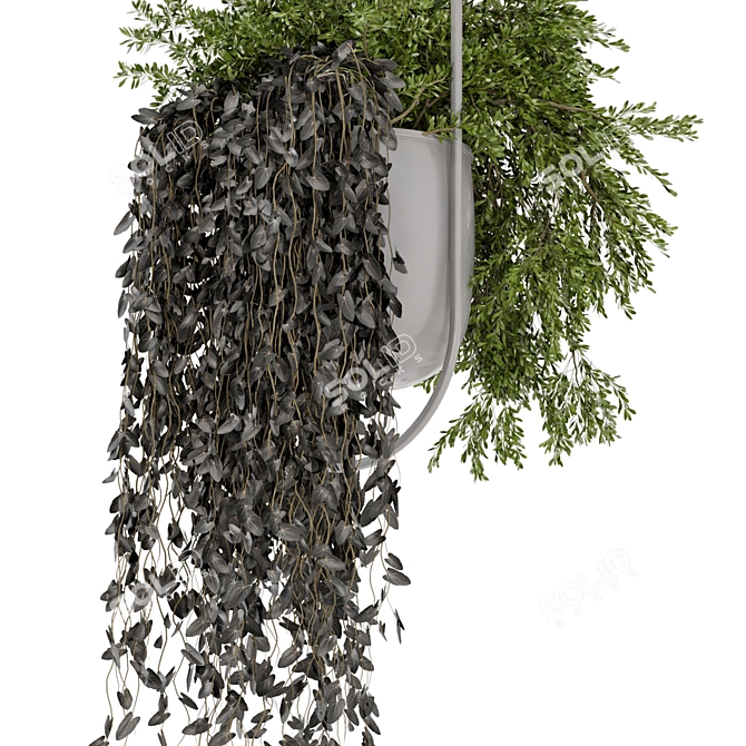 Metal Vase Hanging Plants Set 3D model image 3