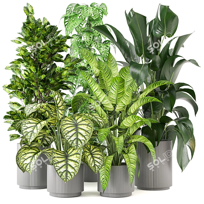 Green Oasis Collection - Set of 280 Indoor Plants 3D model image 1