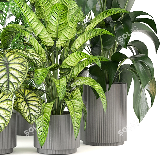 Green Oasis Collection - Set of 280 Indoor Plants 3D model image 3