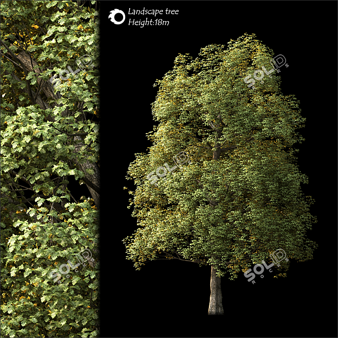 Lush 2014 Landscape Tree 3D model image 1