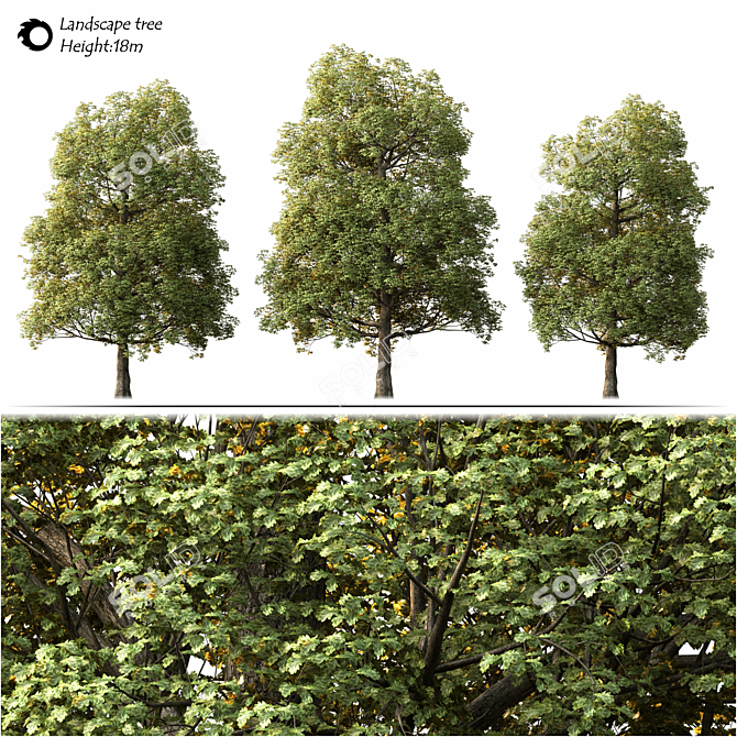Lush 2014 Landscape Tree 3D model image 2