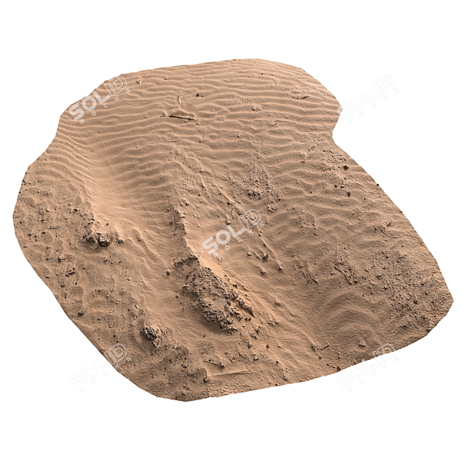 Beach Sandscape Texture Kit 3D model image 1