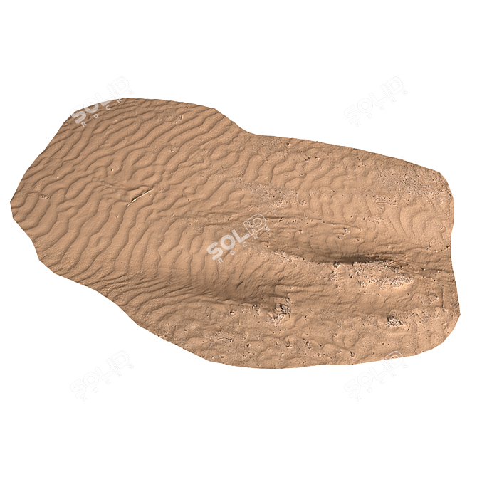 Beach Sandscape Texture Kit 3D model image 2