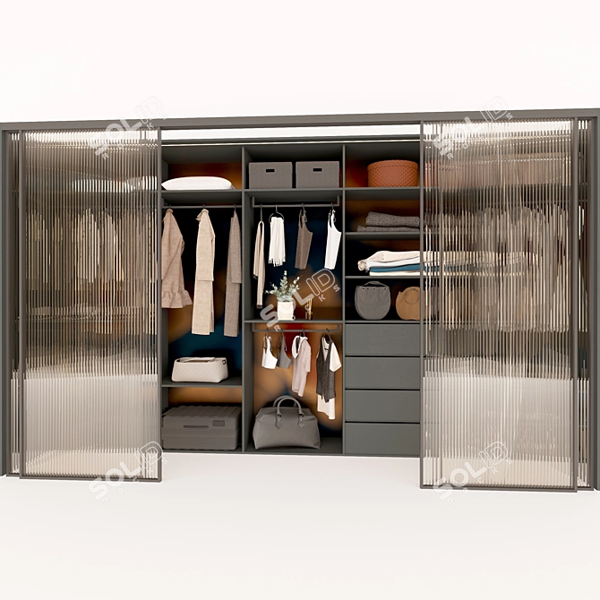 Modern Stylish Wardrobe with Customizable Design 3D model image 4