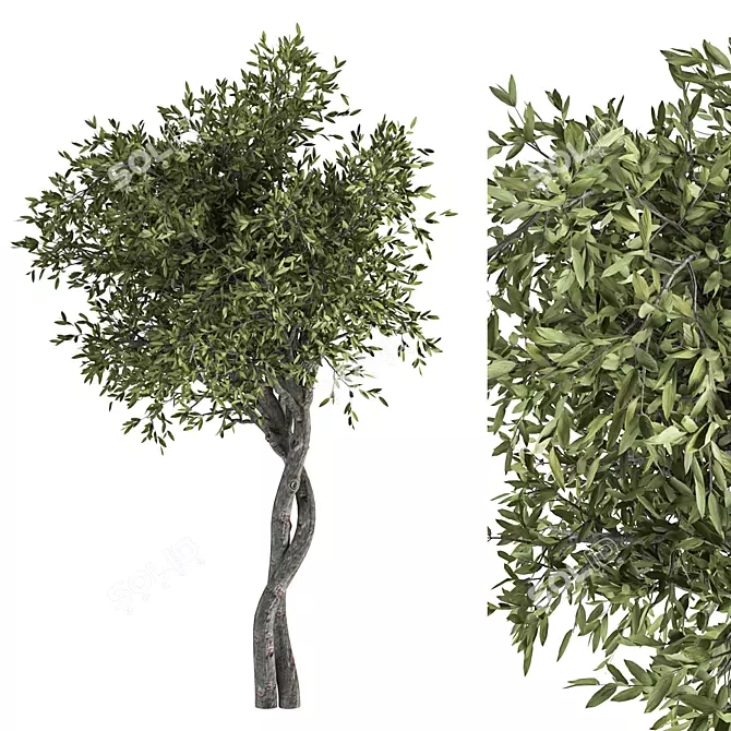 Nature's Symphony: Tree No 2 3D model image 1