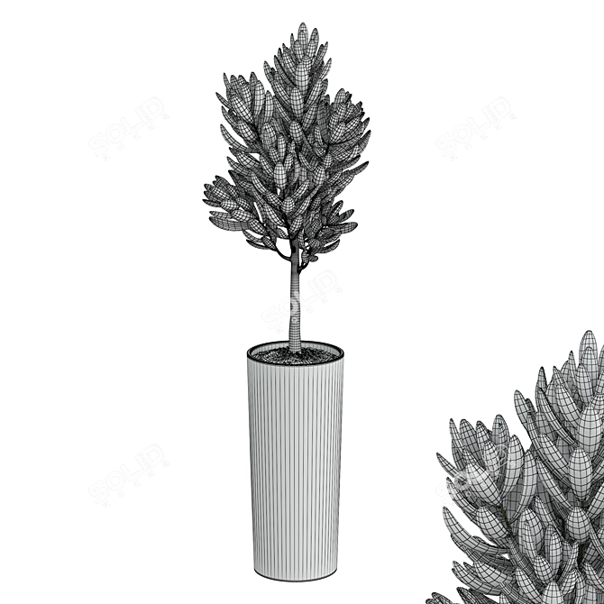 Dark Ceramic Pot Plant 3D model image 2
