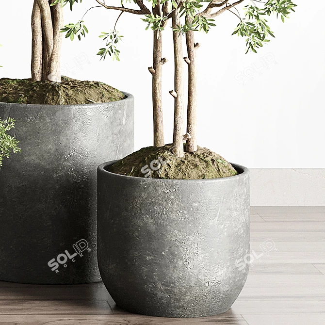 145 Plant Collection: Indoor Outdoor Vase 3D model image 5