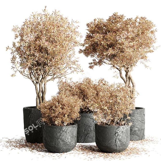 Autumn Vibes: 64 Stone Pots & Dry Tree Indoor/Outdoor Plant Collection 3D model image 1